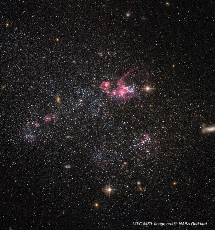 NASA visualization of cosmic structure