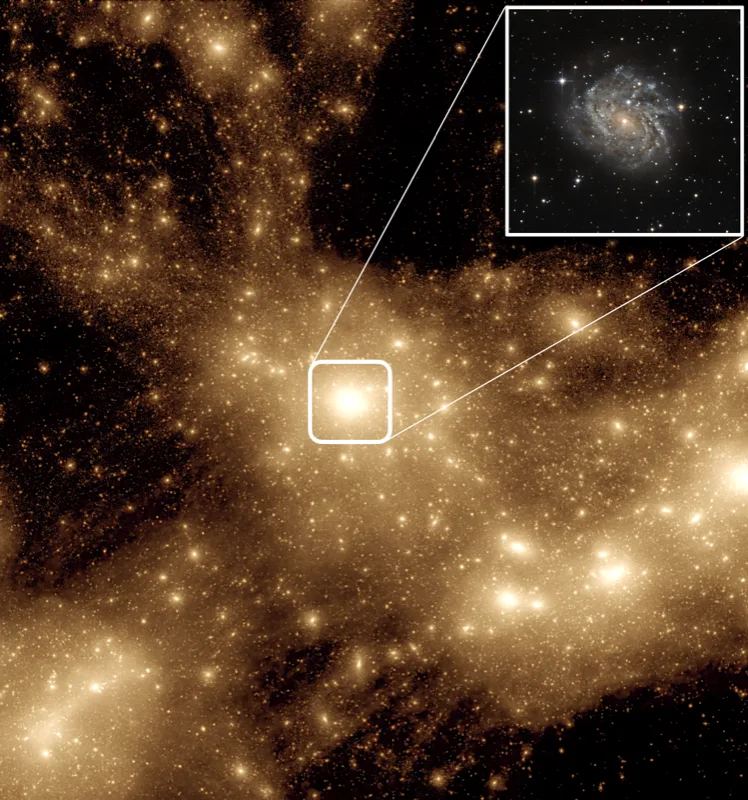 Galaxy-halo connection visualization